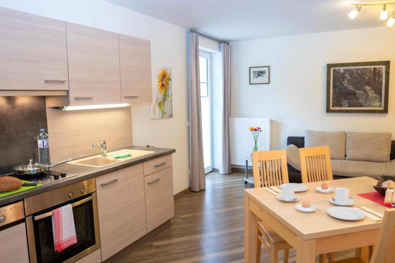 Apartment Charly Kahr And Family, Ski-in & Ski-out Schladming
